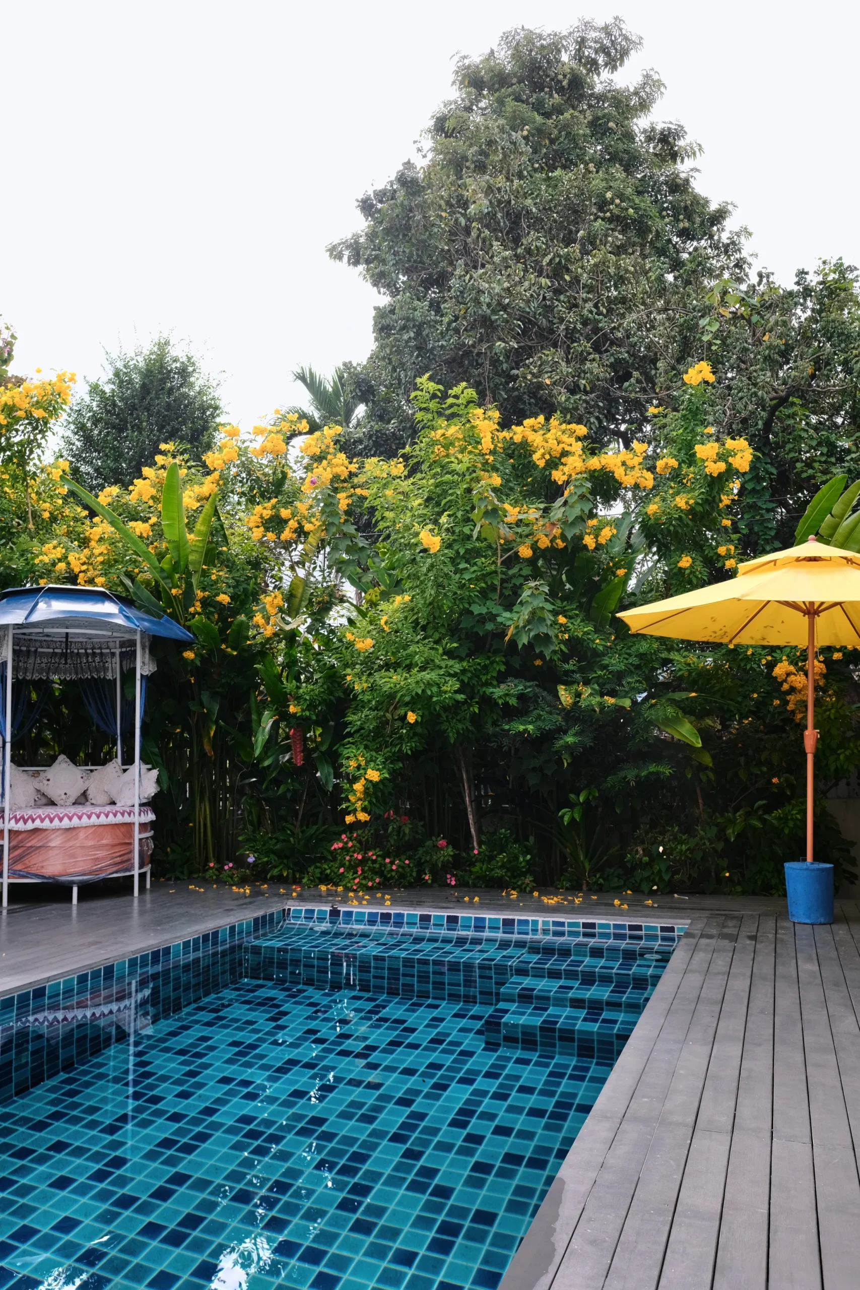 Pearl Sober Living - Pool