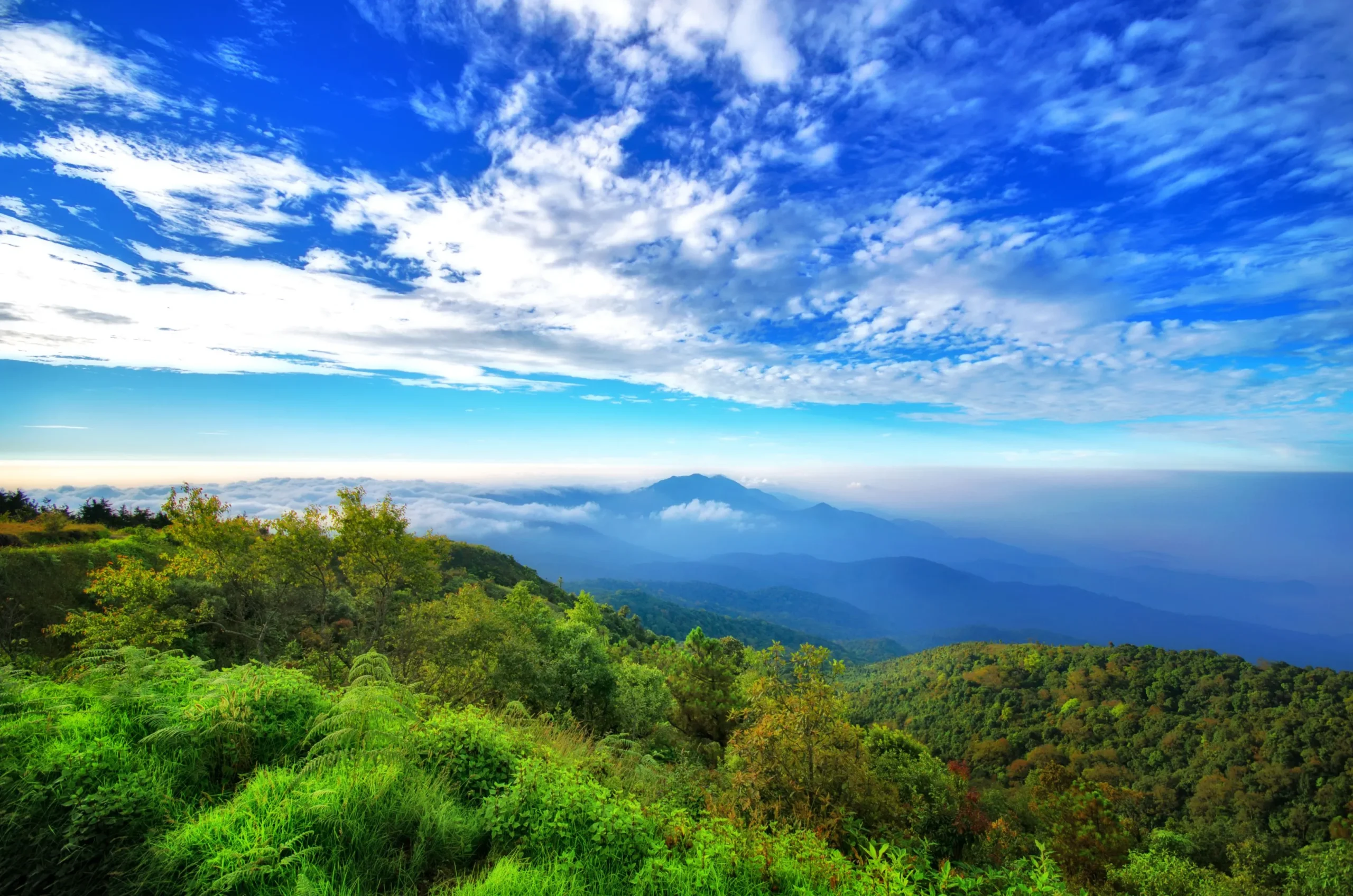 Pearl Sober Living - Chiang Mai mountains