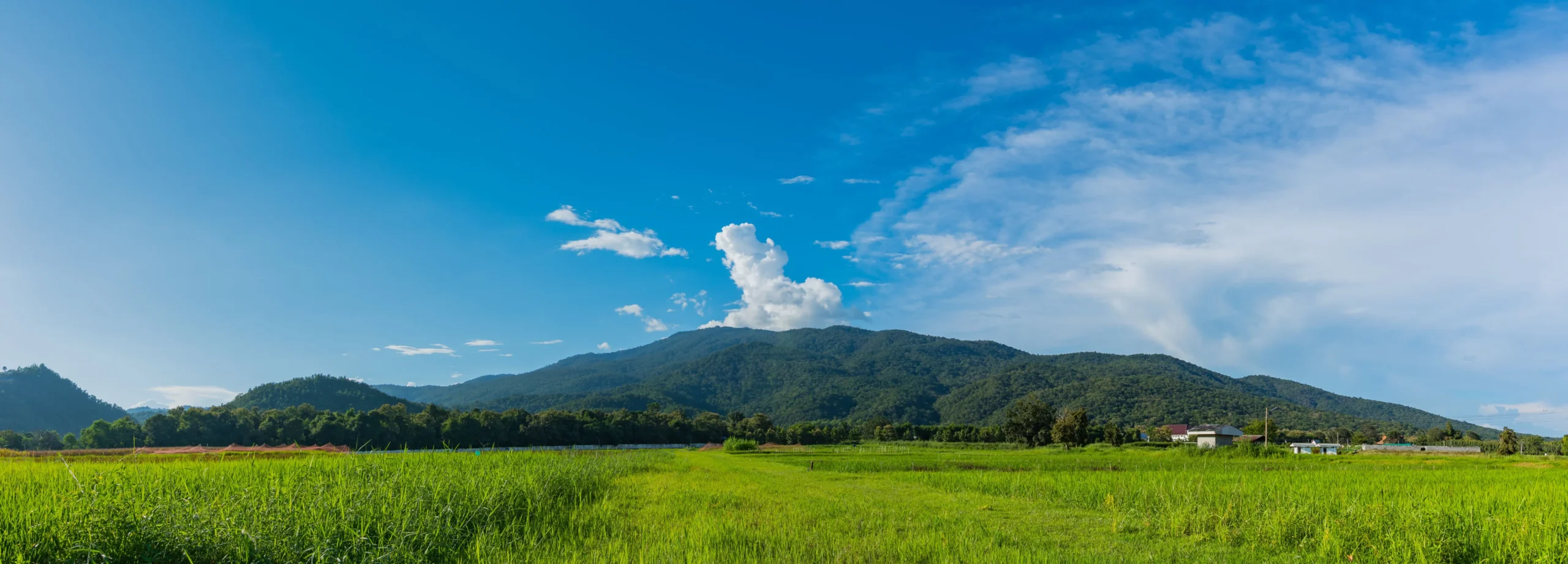 Pearl Sober Living - Chiang Mai mountains